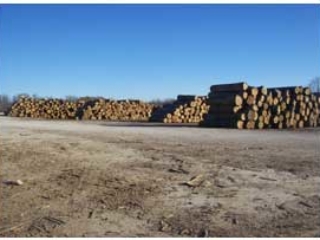 Salem Hardwood Lumber Company